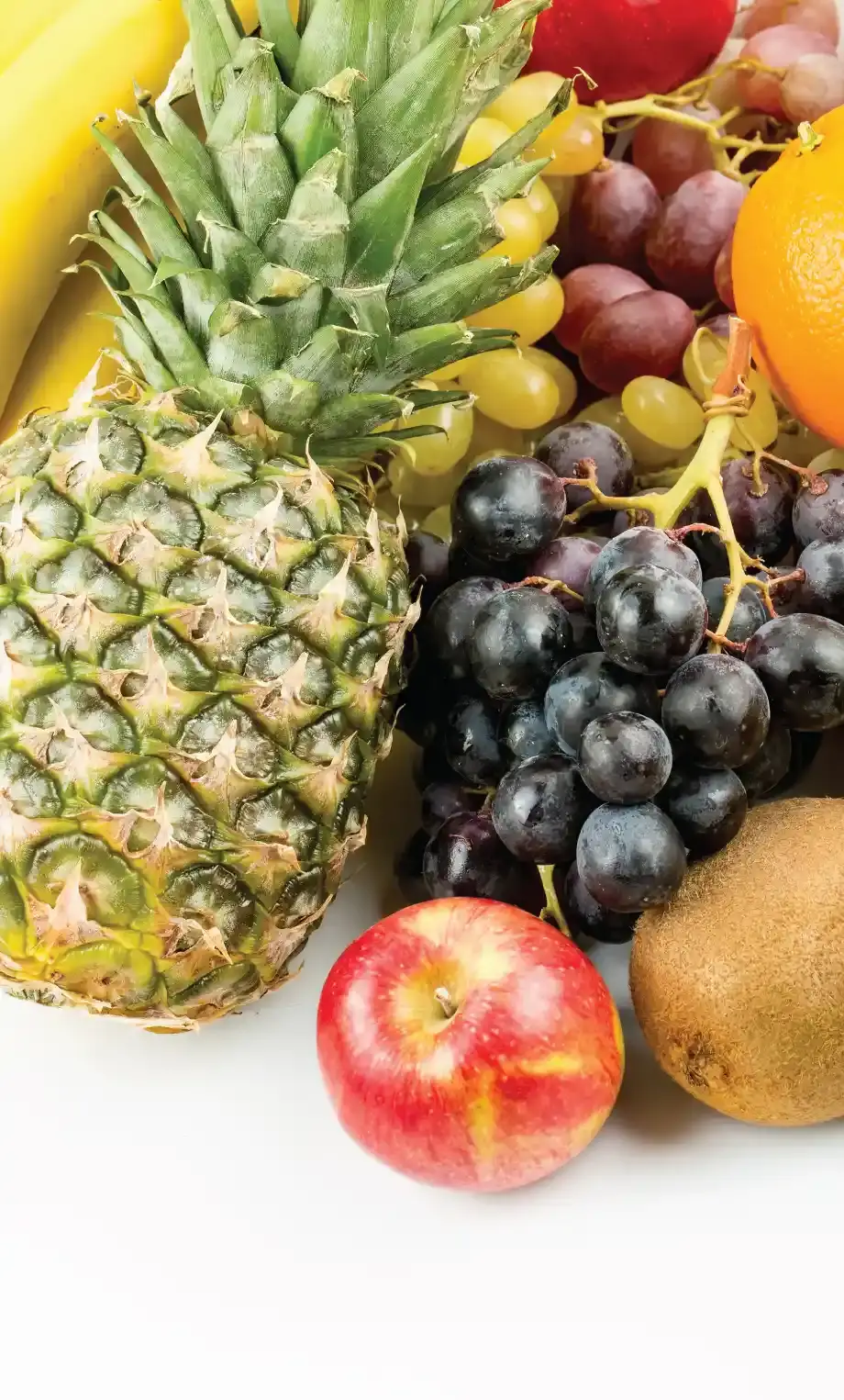 fruits-abouts (1) fruits-abouts (1)